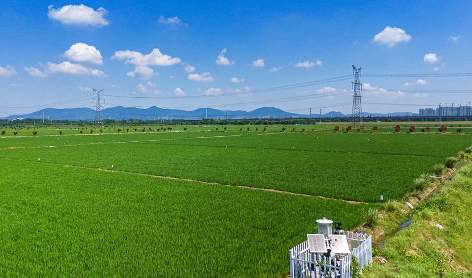 鑫淳苗圃